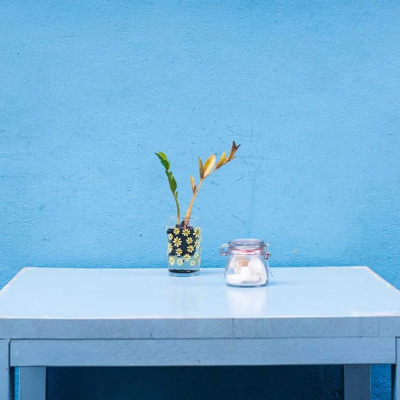 Vaso Bambu — Porcelana Fosca