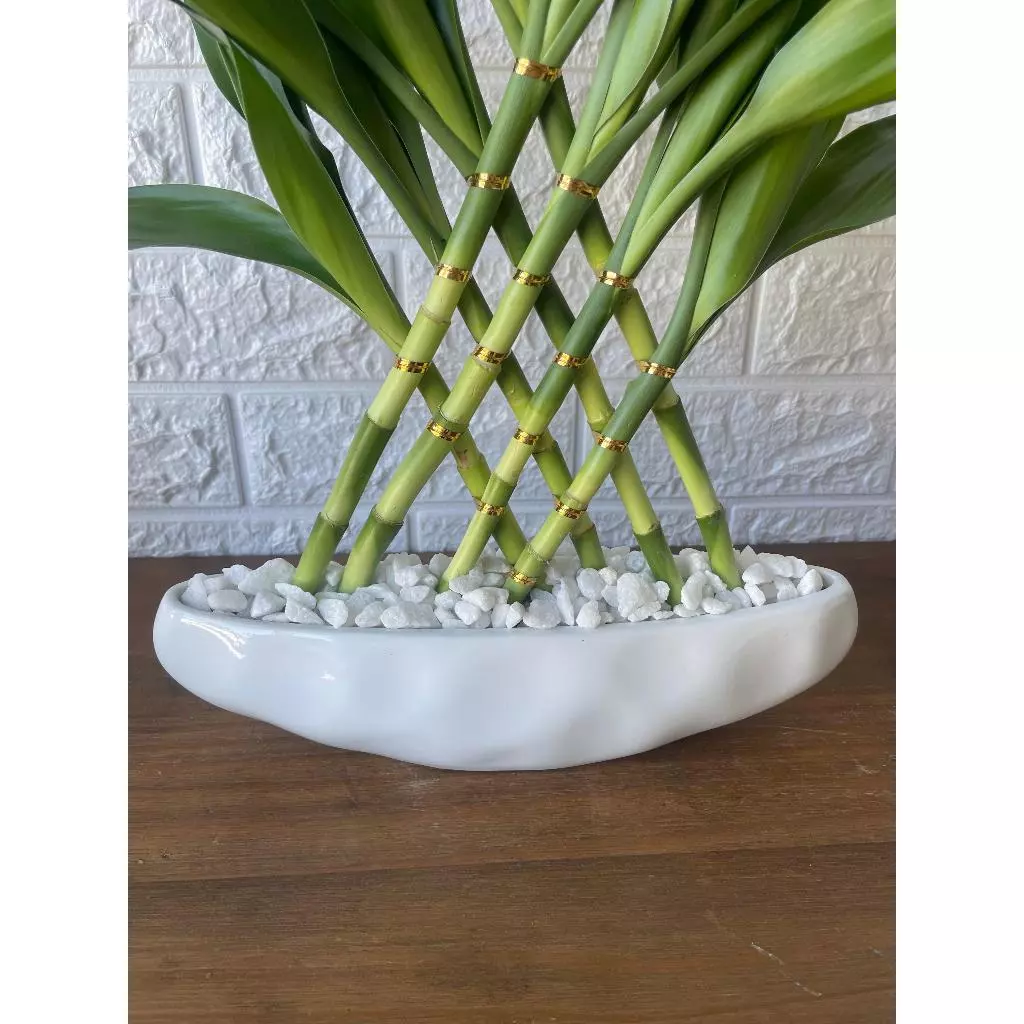 Pedra Decorativa Branca para Vasos Jardins e Decoração - Imagem 2