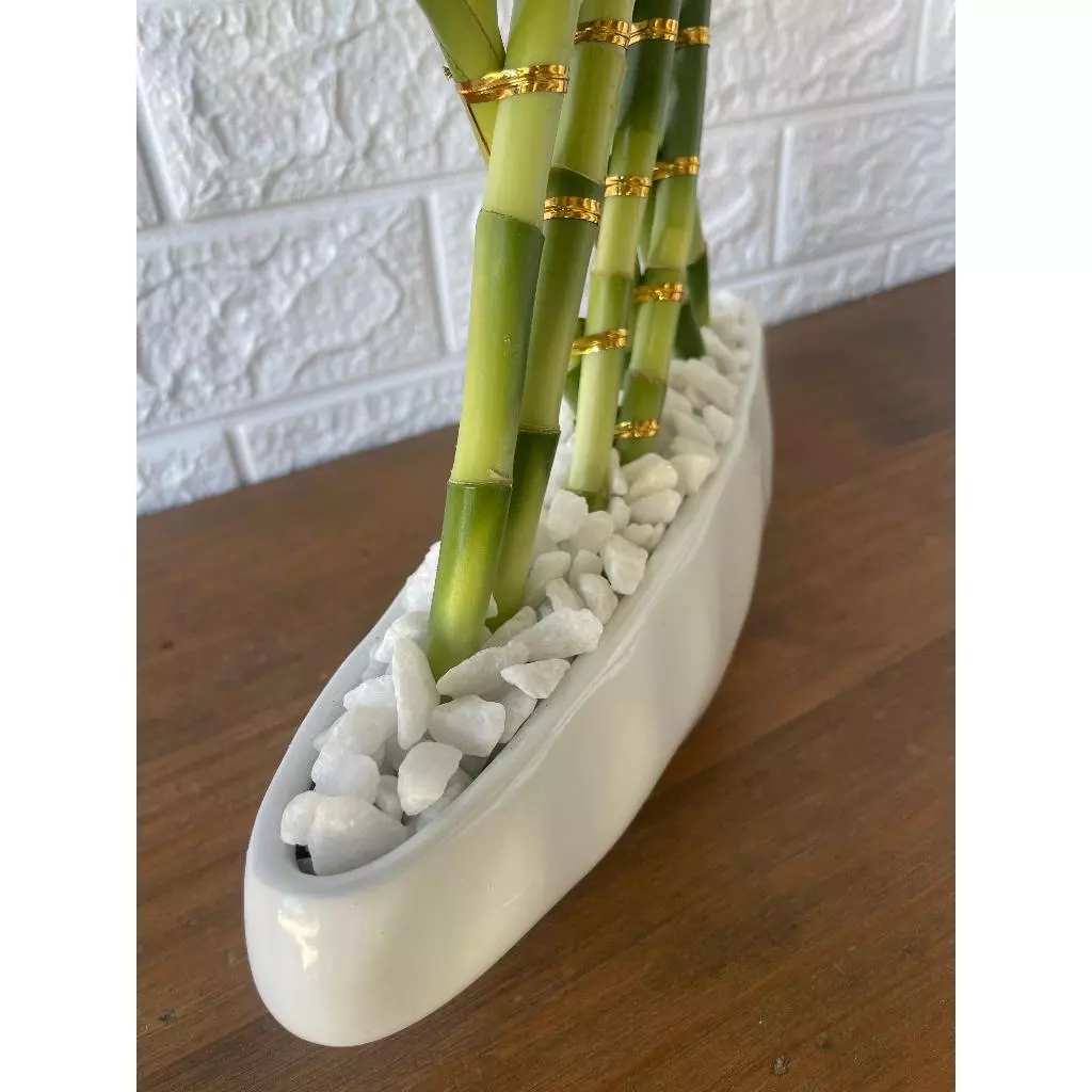 Pedra Decorativa Branca para Vasos Jardins e Decoração - Imagem 6